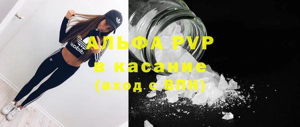 крисы Лагань