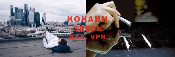 крисы Лагань