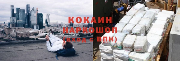 крисы Лагань