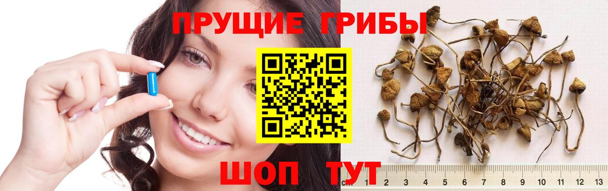 Галлюциногенные грибы MAGIC MUSHROOMS  Галлюциногенные грибы мухоморы  Одинцово  Вход с VPN 