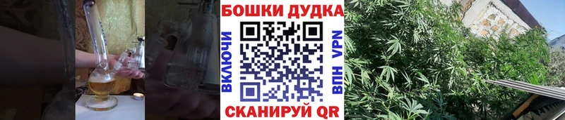 Шишки марихуана OG Kush  Одинцово 